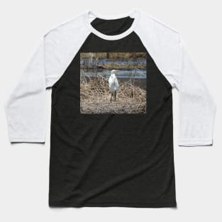 Great egret, wild birds, wildlife gifts Baseball T-Shirt